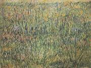 Vincent Van Gogh Pasture in Bloom (nn04) china oil painting reproduction